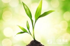 借物喻人的作文：赞美小草