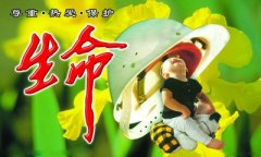 关于生命的作文：生命的追求